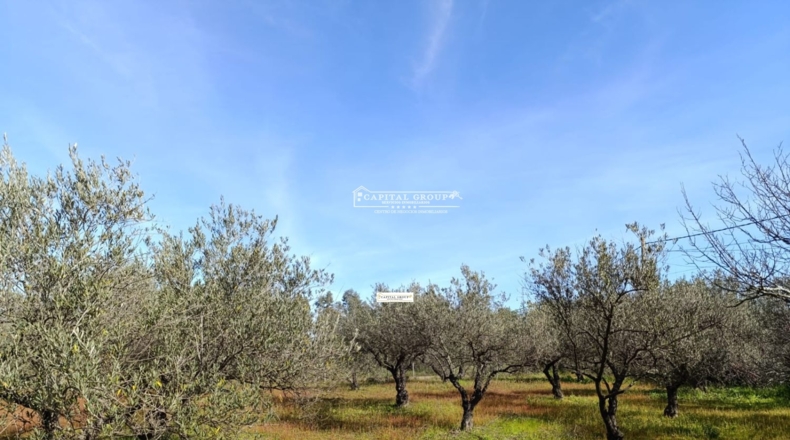 Huelva - Gibraleón - 6623m2