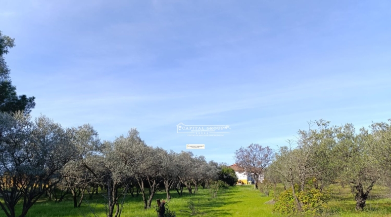 Huelva - Gibraleón - 6623m2