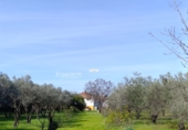 Finca rústica en venta en Gibraleón ref: TR264569 foto