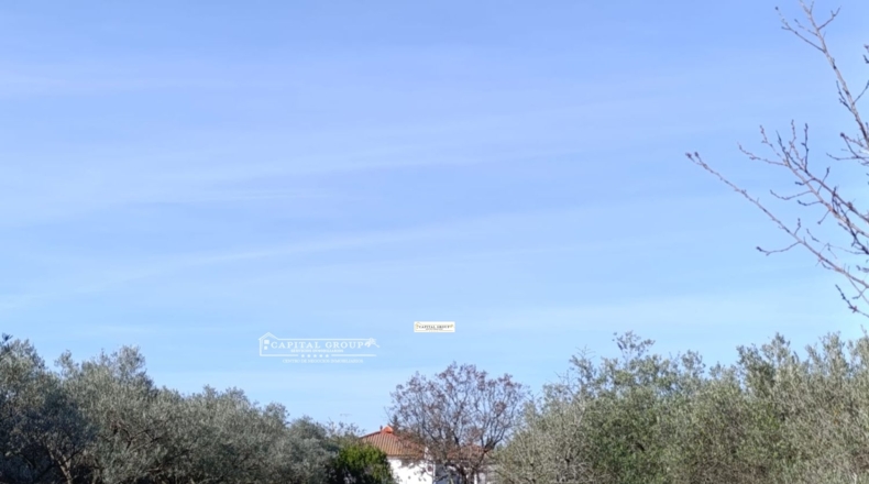 Huelva - Gibraleón - 6623m2