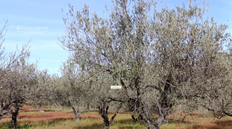 Huelva - Gibraleón - 6623m2
