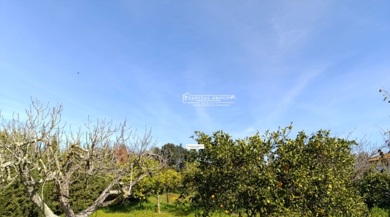 Huelva - Gibraleón - 6623m2