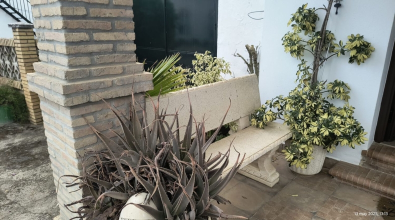Sevilla - Villanueva del Ariscal - 1183m2
