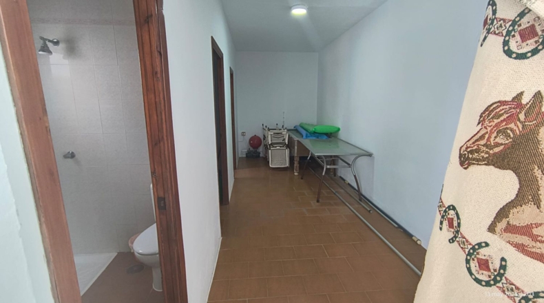 Sevilla - Villanueva del Ariscal - 1183m2