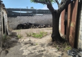 Xalet independent amb terreny en venda a Villanueva del Ariscal ref.: TR234523 foto