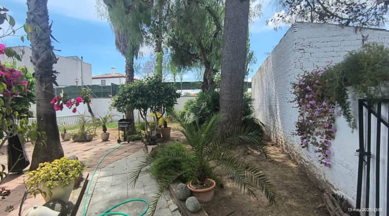 Sevilla - Villanueva del Ariscal - 1183m2