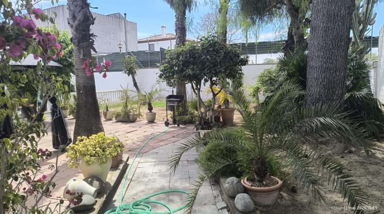 Sevilla - Villanueva del Ariscal - 1183m2