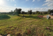 Terreny no urbanitzable en venda a Pilas ref.: TR253529 foto