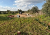 Terreny no urbanitzable en venda a Pilas ref.: TR253529 foto