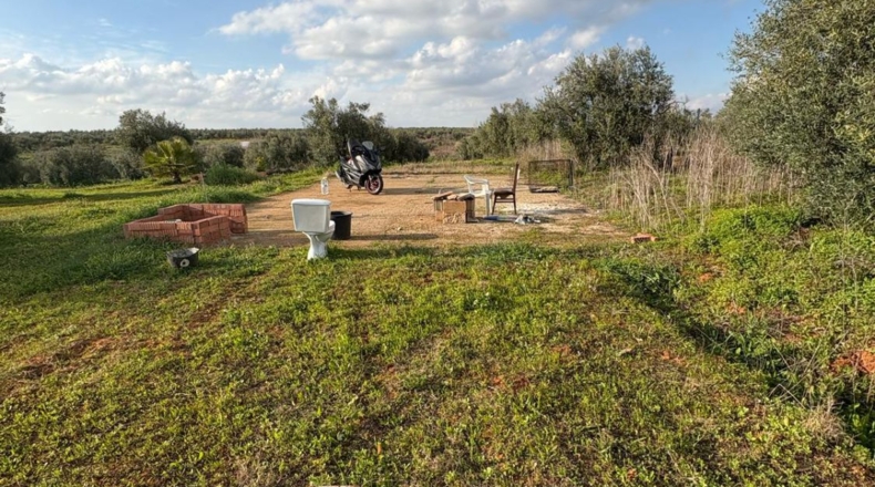 Sevilla - Pilas - 7015m2