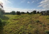 Terreny no urbanitzable en venda a Pilas ref.: TR253529 foto