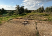 Terreny no urbanitzable en venda a Pilas ref.: TR253529 foto