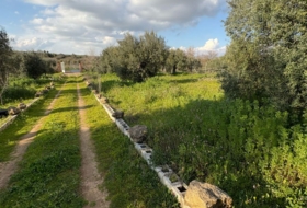 Foto 18