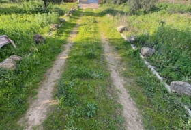 Foto 20