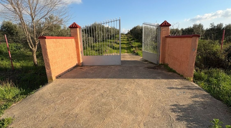 Sevilla - Pilas - 7015m2