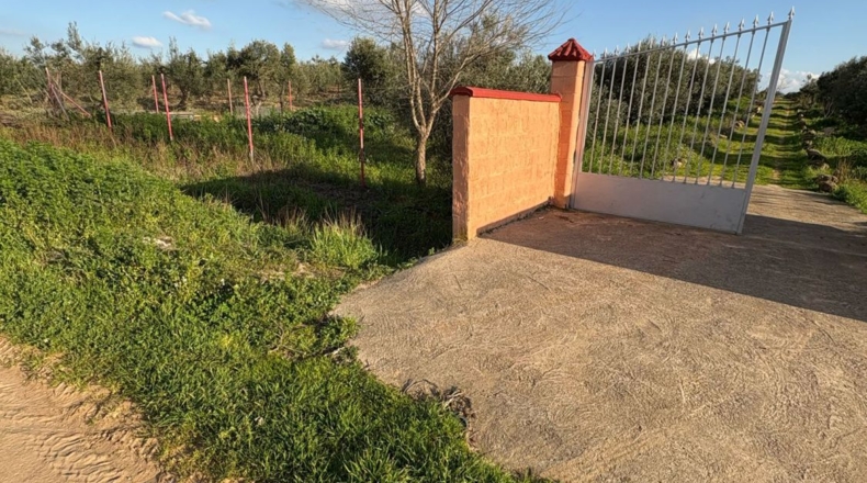 Sevilla - Pilas - 7015m2