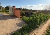 Terreny no urbanitzable en venda a Pilas ref.: TR253529 foto