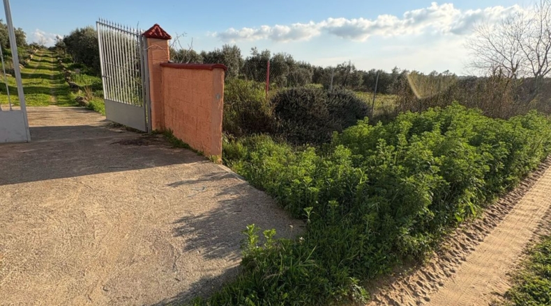 Sevilla - Pilas - 7015m2