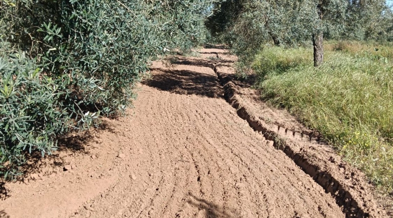 Sevilla - Pilas - 5000m2