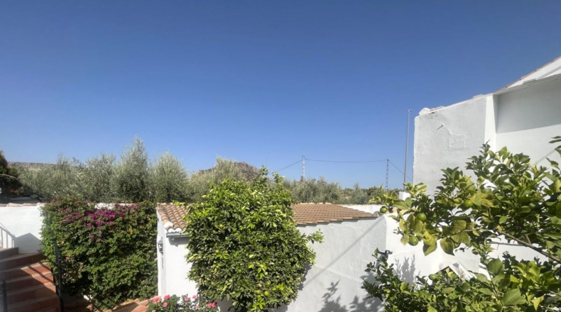 Sevilla - Lora de Estepa - 674m2