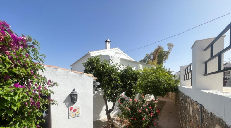 Sevilla - Lora de Estepa - 674m2