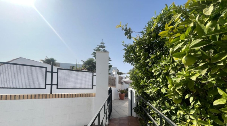 Sevilla - Lora de Estepa - 674m2