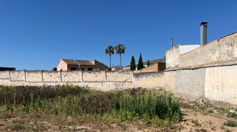 Sevilla - La Roda de Andalucía - 1709m2