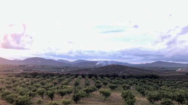 Albacete - Hellín - 25000m2
