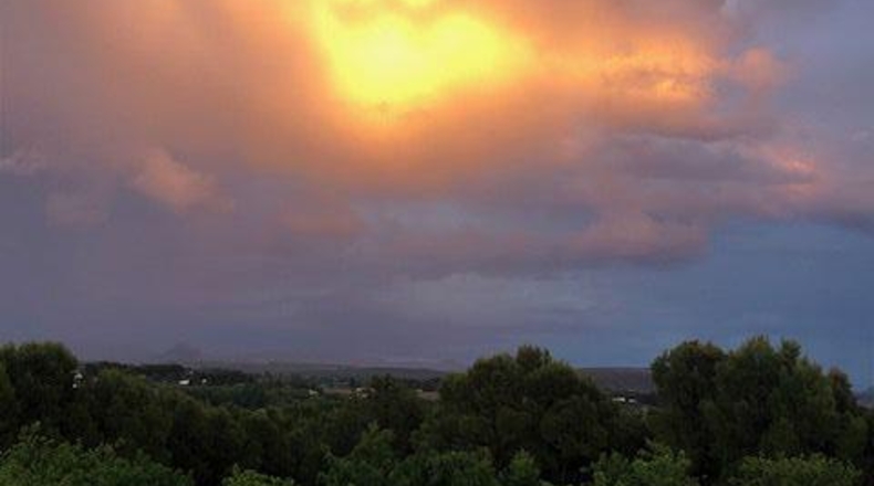 Albacete - Hellín - 25000m2
