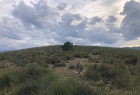 Foto 19
