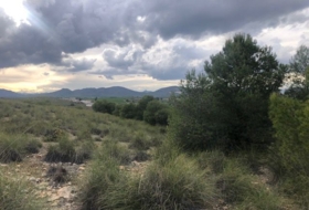 Foto 18