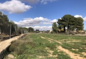 Terreno no urbanizable en venta en Hellín ref: TR204398 foto