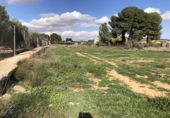 Terreno no urbanizable en venta en Hellín ref: TR204398 foto