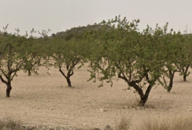 Tobarra 1200000&nbsp;м²