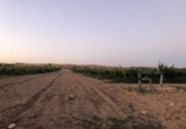 Non-developable land for sale in Tobarra ref: TR234282 photo