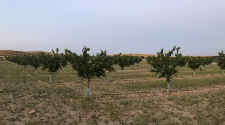 Albacete - Tobarra - 32000m2