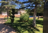 Xalet independent amb terreny en venda a Albacete ref.: TR336764 foto
