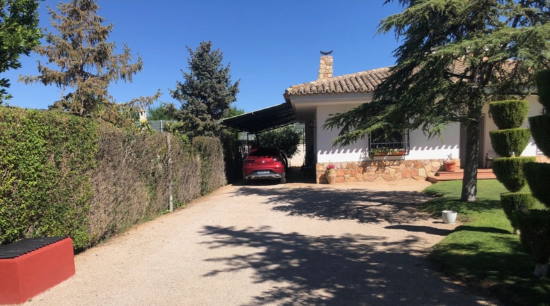 Albacete - Albacete - 1000m2