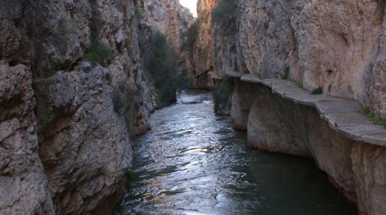 Murcia - Salmerón - 550m2