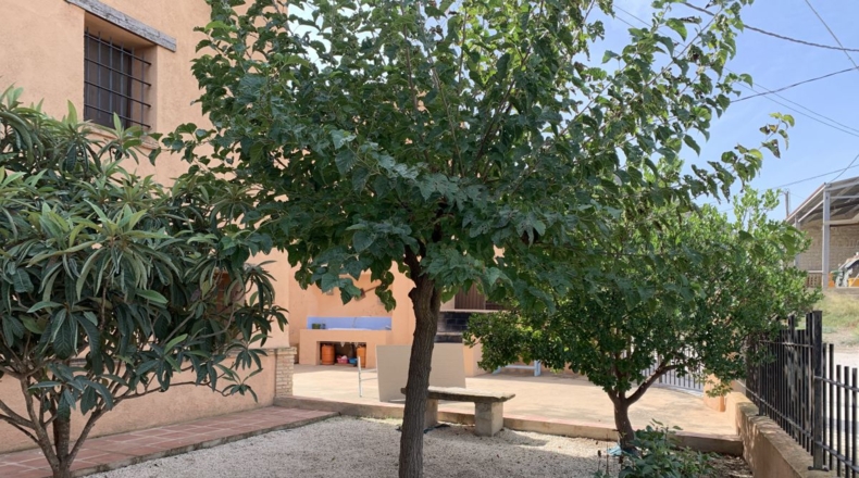 Murcia - Salmerón - 550m2