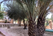 Casa de pueblo en venta en Moratalla ref: TR184283 foto
