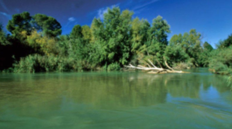 Murcia - Salmerón - 550m2