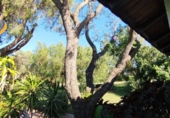 Xalet independent amb terreny en venda a Cartaya ref.: TR189243 foto