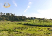 Parcela urbanizable en venta en Cartaya ref: TR253534 foto