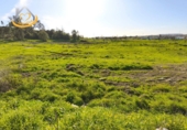 Parcela urbanizable en venta en Cartaya ref: TR253534 foto