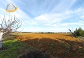 Finca rústica en venda a Aljaraque ref.: TR264547 foto