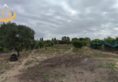 Земельный участок на продажу в городе Cartaya. Фото