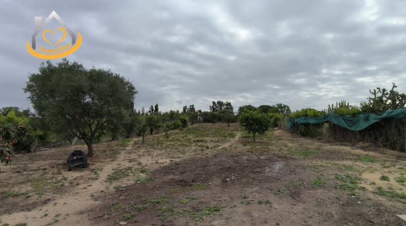 Huelva - Cartaya - 415m2