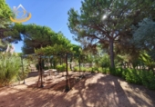 Finca rústica en venda a la España, Isla Cristina, ref.: TR338265 foto