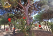 Finca rústica en venda a la España, Isla Cristina, ref.: TR338265 foto